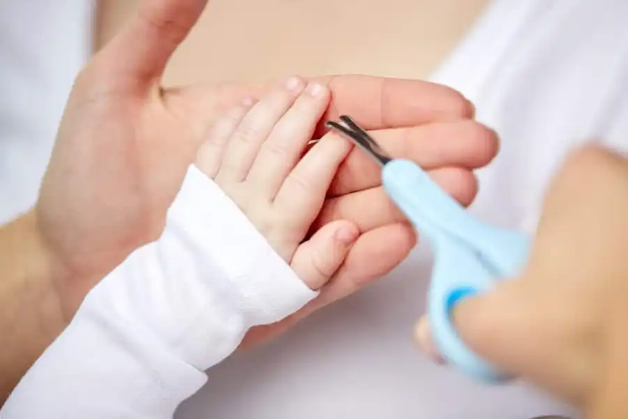 تیغه‌های کوتاه قیچی نوزاد، باعث می‌شود کاملاً کنترل‌شده و دقیق، ناخن‌های فرزندتان را کوتاه کنید.