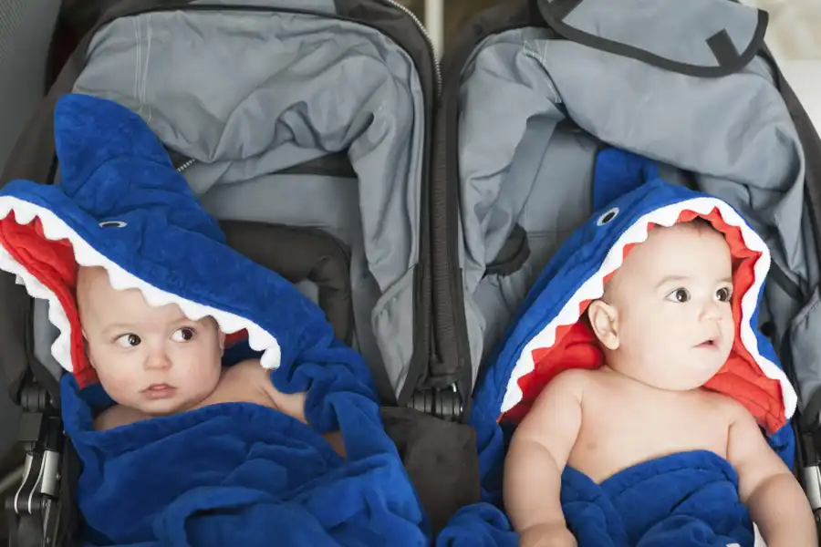 مواردی مثل لباس، تغذیه و وسایل بهداشتی، جزو اصلیترین لوازم مورد نیاز سیسمونی برای دوقلوها هستند و شما باید در ماههای ابتدایی بارداریتان اقدام به خرید آنها کنید.