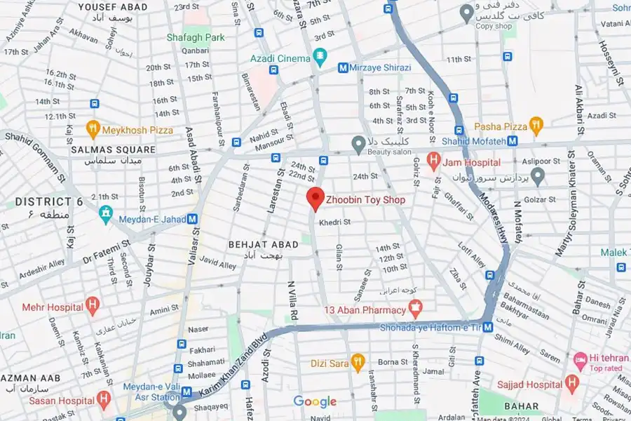 فروشگاه ژوبین، برندهای معروفی مثل لگو، وی تک، ادوکا، تولو، هاسبرو و... را ارائه میدهد.