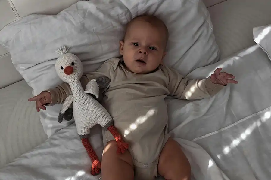 هنگام خرید اسباببازی برای کودکان توجه داشته باشید که اسباببازیهای ساخته شده از پارچه، قابل شستشو باشند.