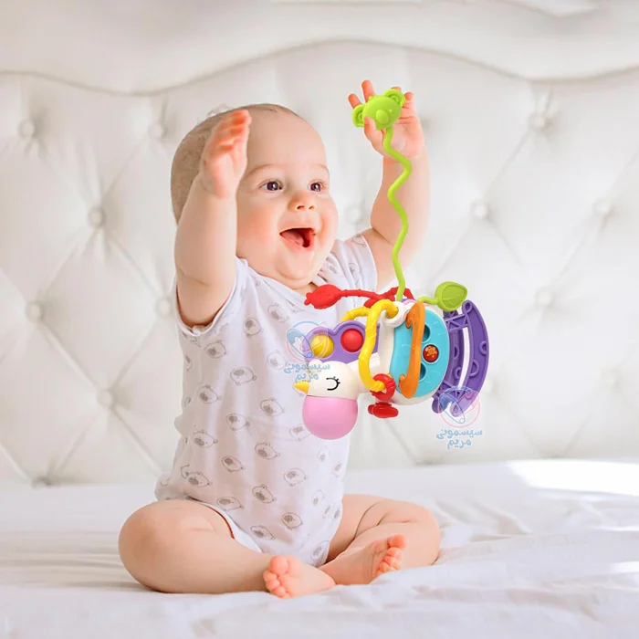 جغجغه و دندونی کمک به تقویت مهارتهای شناختی