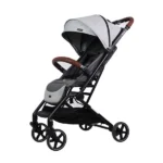 کالسکه مسافرتی ریکارو ایزی لایف Recaro Easy Life طوسی